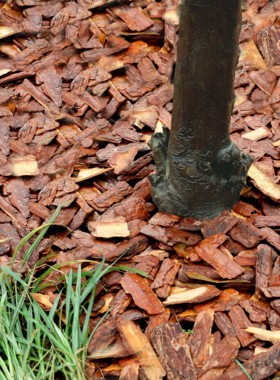 打磨树皮松麟松树皮有机覆盖物树穴花园造景铺土天然大块发酵基质