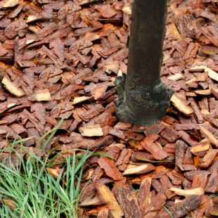 打磨树皮松麟松树皮有机覆盖物树穴花园造景铺土天然大块发酵基质