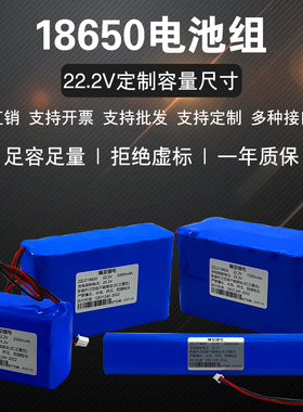 18550锂电池组24v大容量医疗器械22.2v音响25.2v电机监控可充电池
