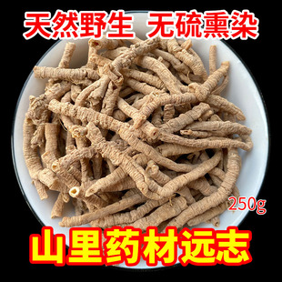 特级益智仁抽芯远志肉另售山茱萸玉竹 费正品 免邮 野生远志中药材500g