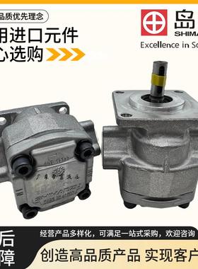 日本岛津GPY-11.5R 3R 4R 7R 8R 9R 10R GPYZ-5.8R323B高压齿轮泵