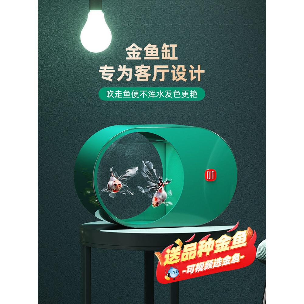 客厅金鱼缸泰狮兰寿金鱼专用小型家用造景养金鱼的活鱼带鱼缸新款