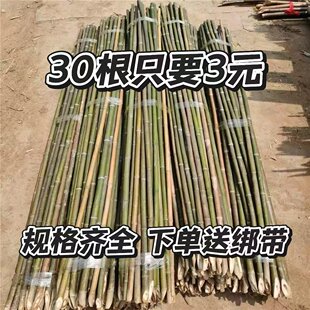 竹竿菜园搭架竹子户外棋杆黄瓜豆角爬藤菜架子竹杆支架豇豆搭架杆