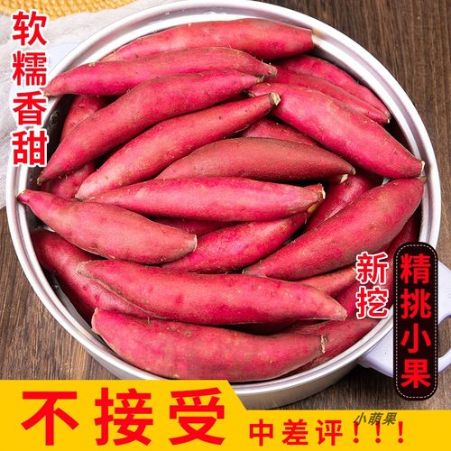 杭州临安手指薯精挑小果