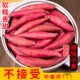 临安仓发货 精挑小果手指薯天目小香薯5斤新挖红薯黄心板栗小番薯