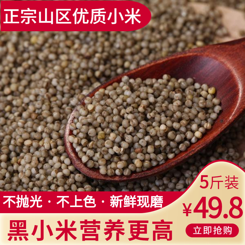 黑小米2020新米特级山西特产富硒