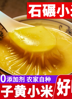 25年黄小米新米山西小米忻州晋谷小米北方农家月子小米羊肥小米