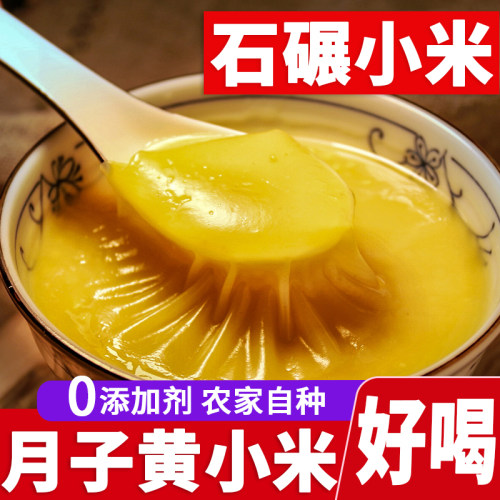 黄小米新米山西特产晋谷21号小米