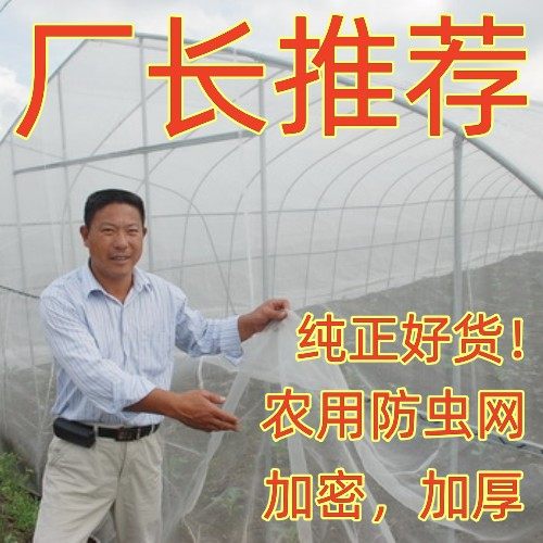 厂长推荐防虫网纱网养殖养猪场防蚊子苍蝇农用大棚果树专用网纱窗