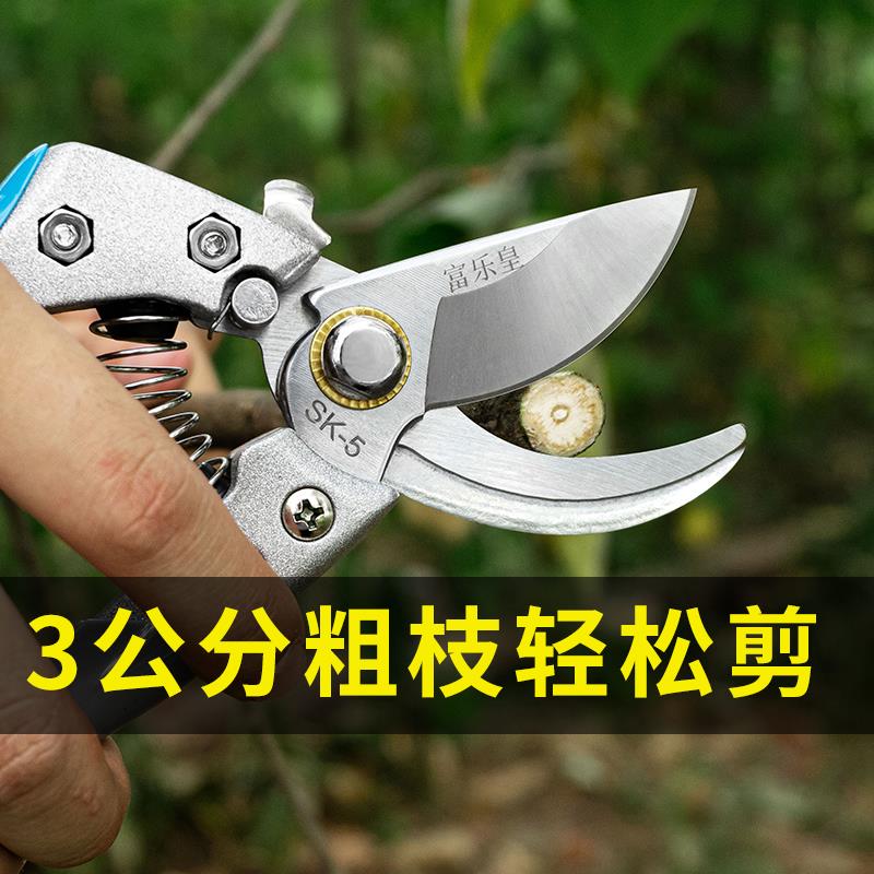 SK5园艺剪刀园林修枝剪果树剪枝树枝I省力强力大修剪修花剪子神器