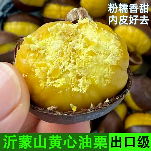2026年沂蒙山开园黄心油栗子新果