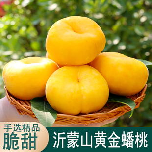 黄金蟠桃新鲜水果整箱蒙阴现摘黄毛蟠桃同城孕妇应季扁桃精品大果