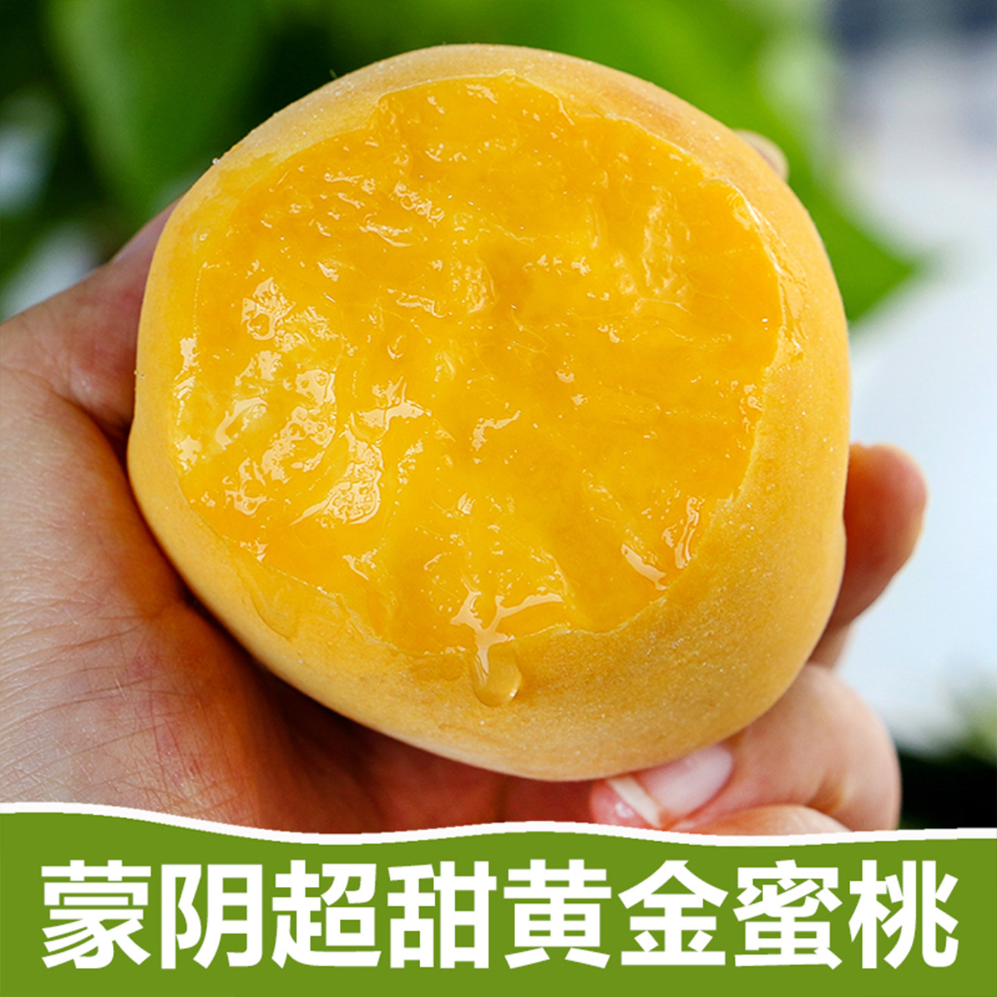 蒙阴黄桃超甜黄金蜜桃新鲜水果当季现摘香甜多纯甜水果黄桃毛桃子