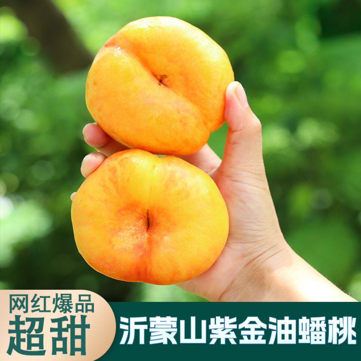 紫金油蟠桃彩虹油蟠桃黄金油蟠桃黄金蟠当季新鲜水果整箱蒙阴蜜桃
