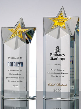 创意五角星奖杯定制水晶奖牌定做优秀员工年终颁奖保险团队奖杯