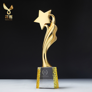 荣誉之星金属奖杯水晶定制金银铜团体大号制作刻字冠亚季军比赛
