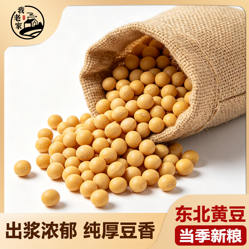 我老家东北黄豆农家新货打豆浆专用五谷杂粮大豆非转基因黄豆种子