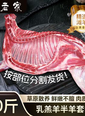 我老家西北滩羊半羊乳羔羊10斤新鲜生羊肉羊排羊腿羊蝎子年货食材