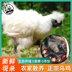 我老家乌鸡1000g炖汤营养滋补正宗散养无药残白毛骨鸡整只月子鸡