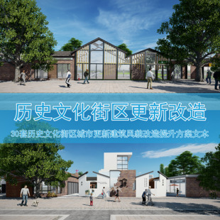 C002历史文化街区更新改造城市保护规划建筑风貌整治提升改造文本