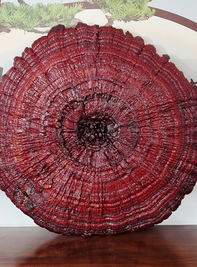 106-109cm中式大灵芝吉镇店摆件