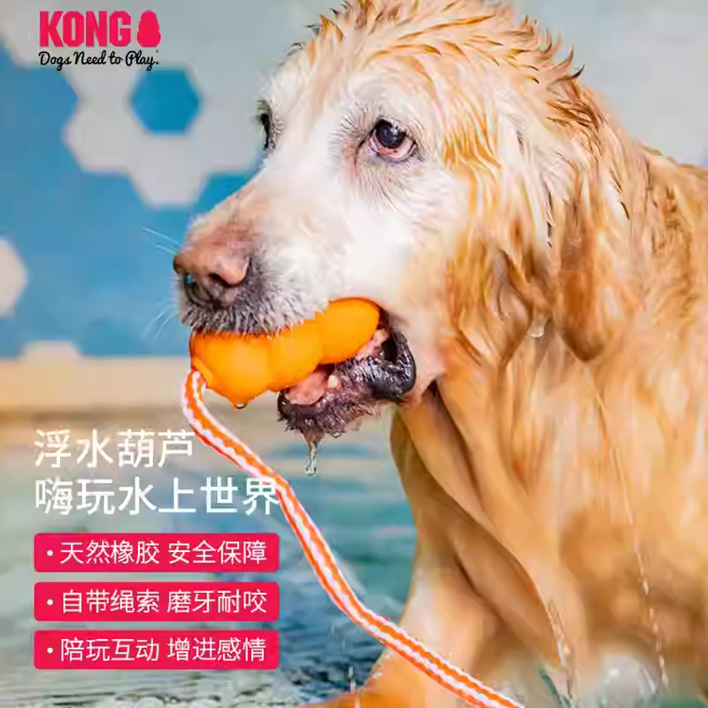 狗狗水上玩具带绳橡胶耐咬磨牙
