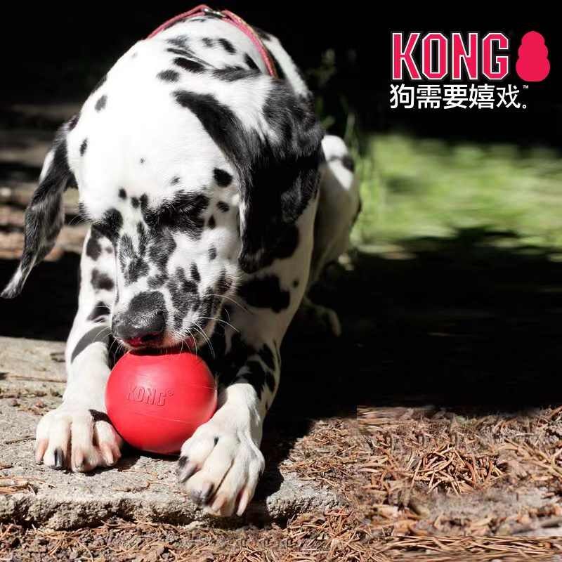 狗狗玩具耐咬球磨牙洁齿