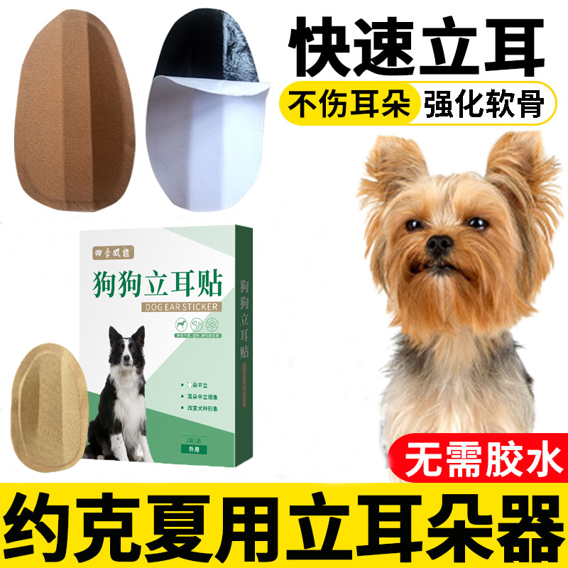 狗狗立耳神器约克夏专用小狗耳朵立耳器立耳贴幼犬竖耳辅助器夹子 宠物/宠物食品及用品 更多日用品 原图主图