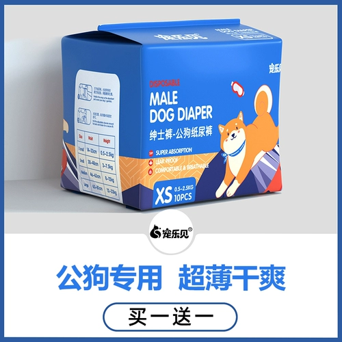 Домашние животные видят мочу собак без мокрой собаки.