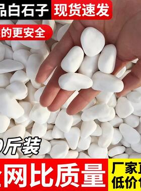 白石子庭院景观铺路鹅卵石鱼缸多肉盆栽铺面园林装饰白色大小石头