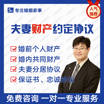 夫妻婚内财产协议书婚前个人财产债务房产约定律师起草定制电子版