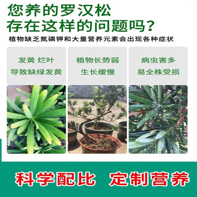 优选松肥喜酸植物叶面喷施营养液防黄落枯R叶烂黑根腐杀虫.