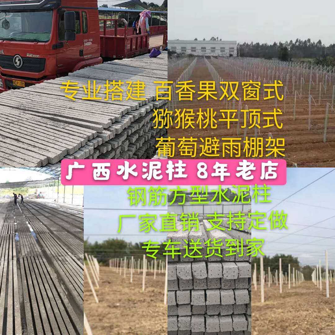 火龙果水泥立柱新品葡萄杆百香果围栏桩猕猴桃果园防虫网大棚支架