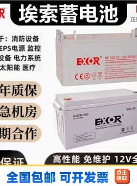 EXOR蓄电池EX/NP/GFM/ 24AH38A50AH17AH65AH100AH150AH200AH
