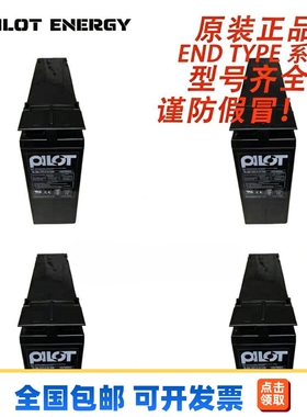 美国PILOT蓄电池END TYPE系列PL50/100-12FLHLM-CBB全型号