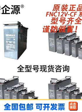 韩国NEWMAX蓄电池FNC12VCF系列FNC12500/800/1000-CF全型号