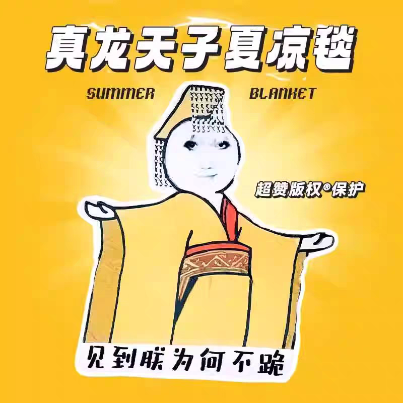 皇帝龙图毛毯子午睡办公室教室宿舍休闲毯搞怪沙雕整活男女生礼物图片