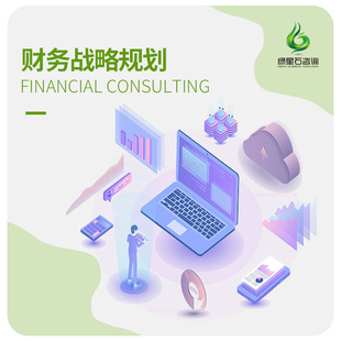 财务咨询财务战略规划企业发展规划财务管理预算管理咨询顾问题