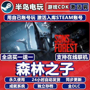 The Forest CDK多人在线联机全球国区Sons 森林之子Steam激活码