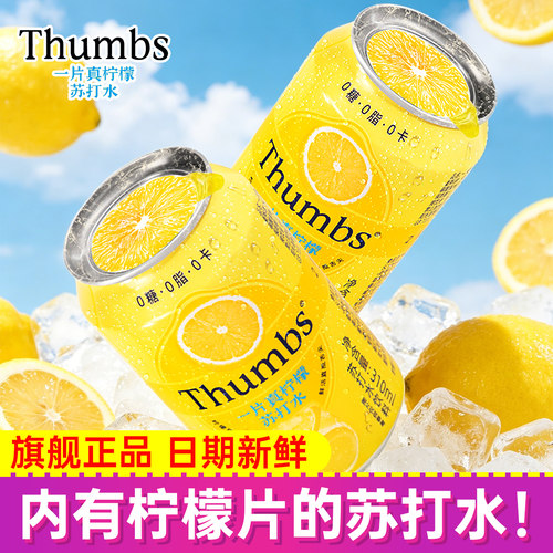 一片真柠檬苏打水0糖0脂0卡原味