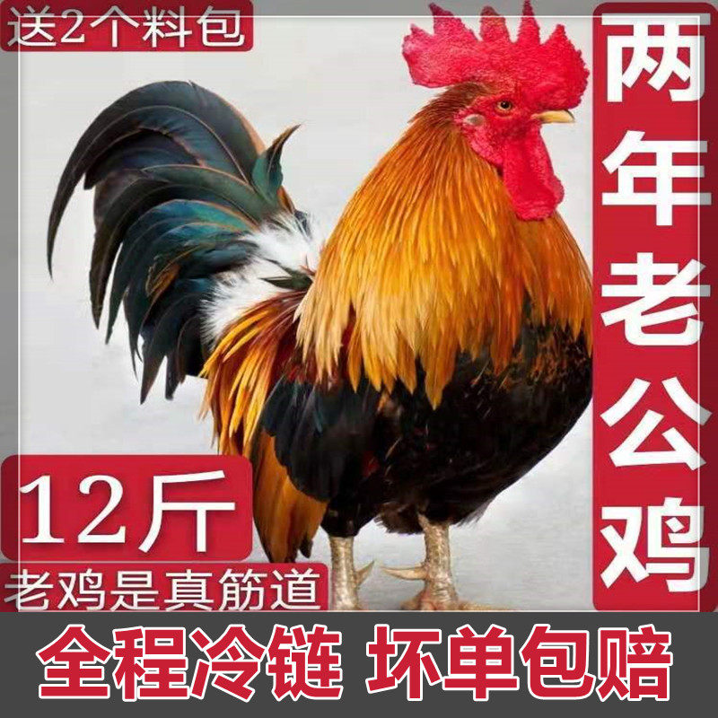 正宗散养两年12斤老公鸡农村老公鸡现杀新鲜鸡肉土鸡柴鸡走地鸡