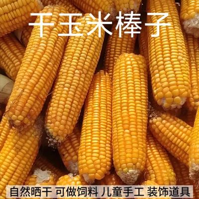 徐州干玉米棒子不带皮晒干老玉米棒磨牙棒仓鼠兔兔宠物口粮装饰