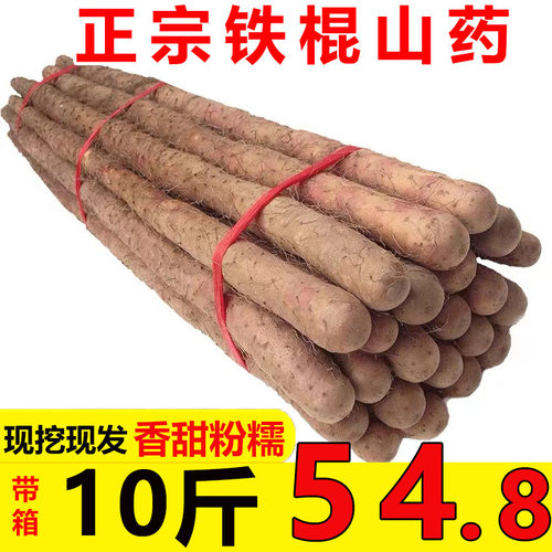 正宗焦作温县铁棍山药特产淮山药