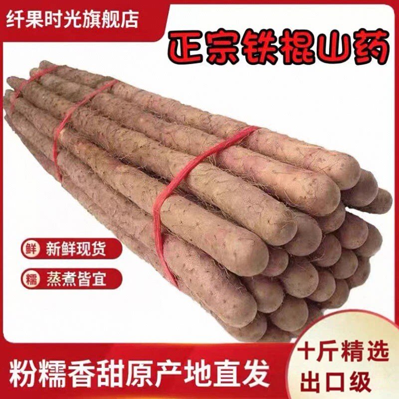 温县垆土铁棍山药焦作新鲜淮山药