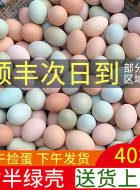 对半绿壳正宗土鸡蛋农家散养新鲜纯农村自养天然40枚草笨乌绿壳蛋
