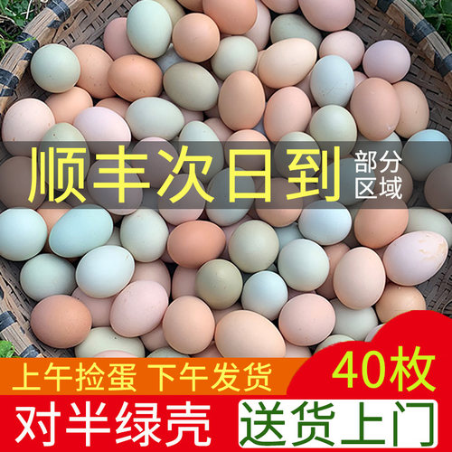 内含20个绿壳新鲜散养农家土鸡蛋