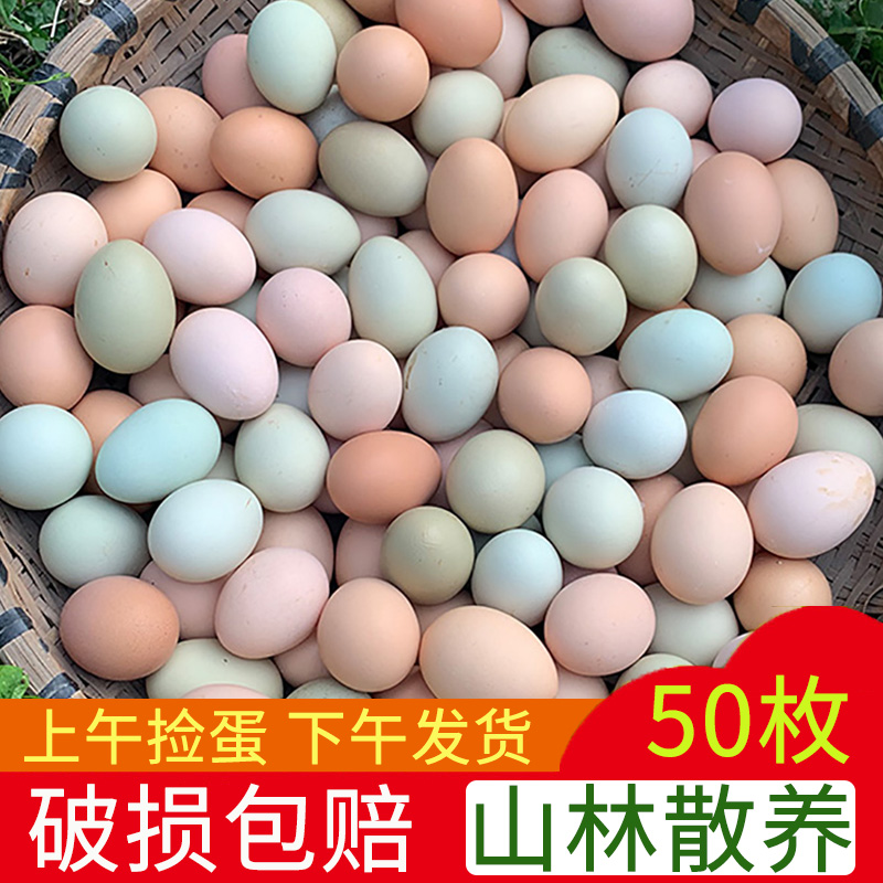 林下散养破损包赔只发当日鲜蛋
