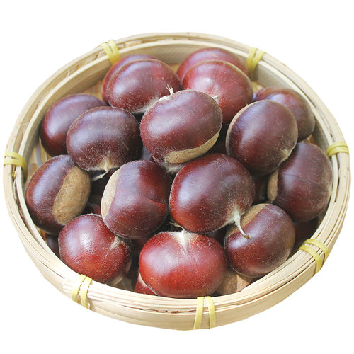 【新鲜板栗】罗田新鲜板栗当季下树花带壳嫩板栗现摘栗子生新鲜