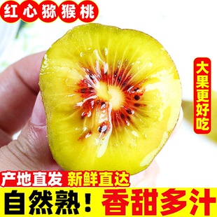 奇異果當(dāng)季 鮮水果大果孕婦現(xiàn)摘整箱5 包郵 現(xiàn)貨四川紅心獼猴桃新鮮