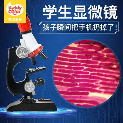 显微镜儿童中小学生专用可看细菌